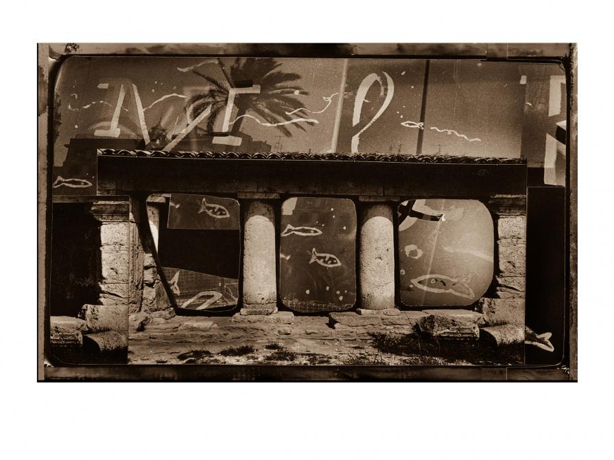 Fishworld - From South To North