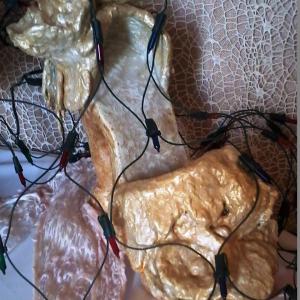 La materia prende forma e teoria del metamorfismo cromatico La materia prende forma e teoria del metamorfismo cromatico