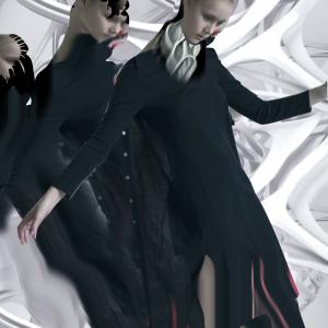 Second life collage series (Distortion) Second life collage series (Distortion)