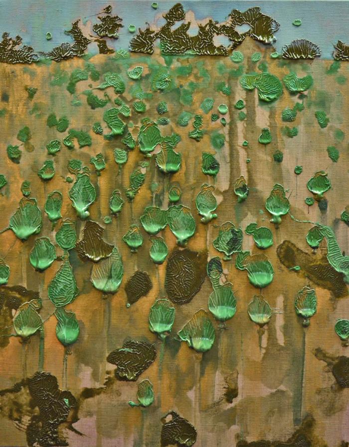 Opium Poppy Field: Upright Poppy Pods