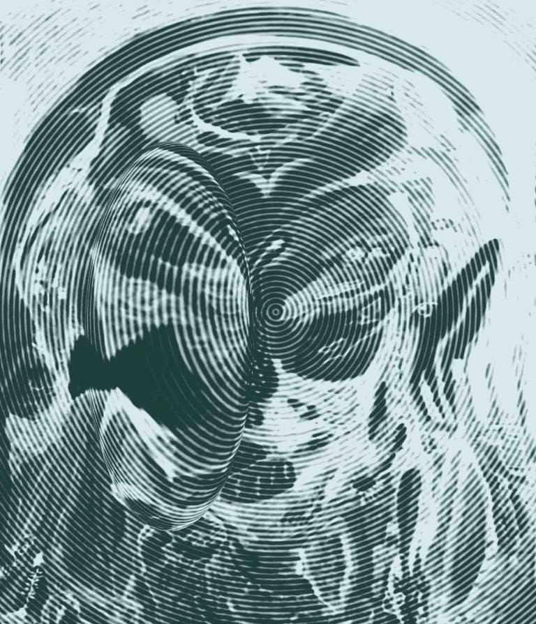  أسماك القرش الجشع - sharks greed - squali avidità