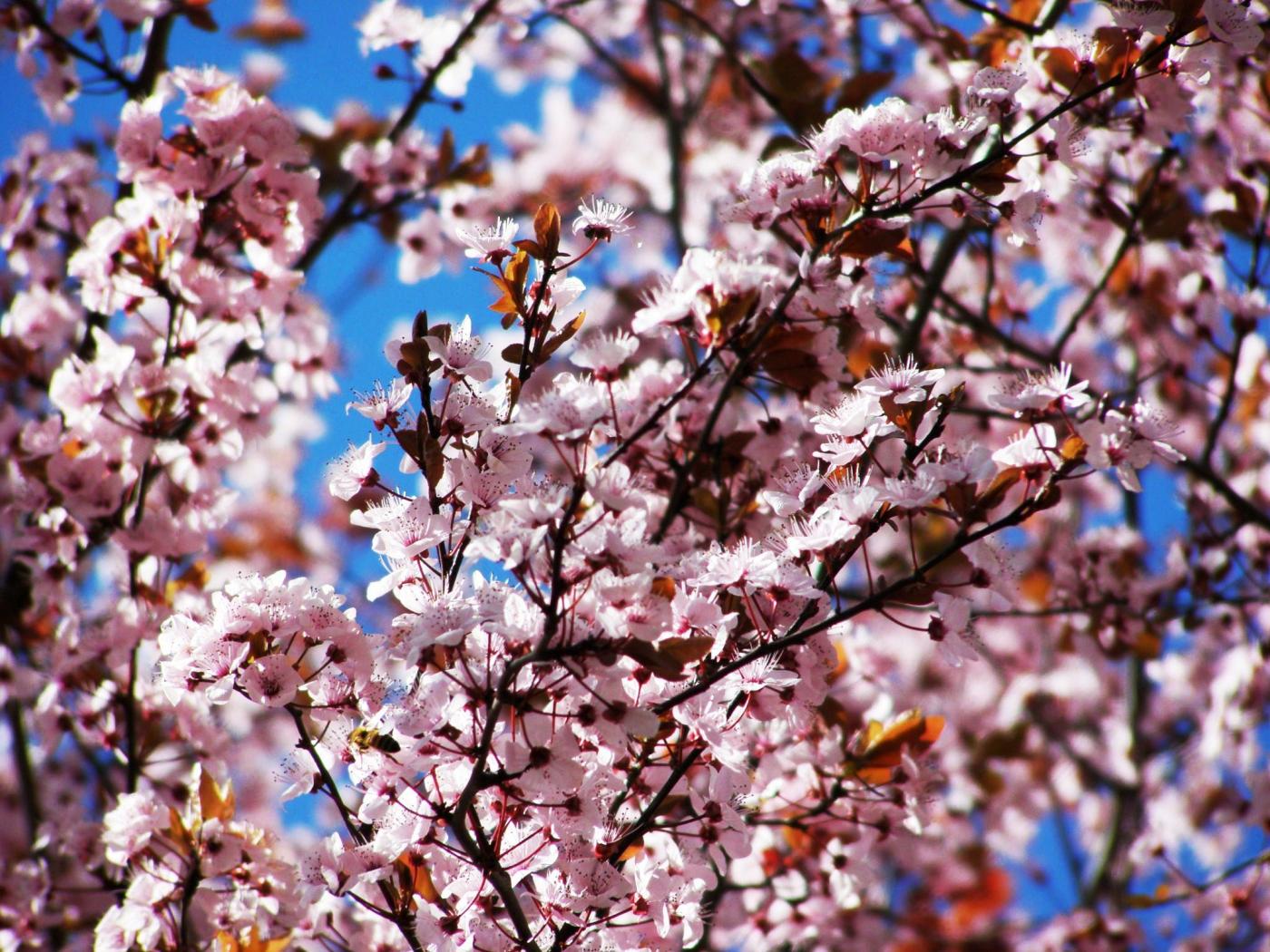 "World Poetry Day": my collections published