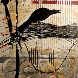 Pedro Carta. 2013 Pedro Carta. 2013