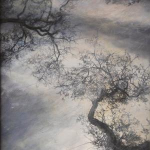 “TERRA – Geografie di viaggio”, Karina Chechik “TERRA – Geografie di viaggio”, Karina Chechik