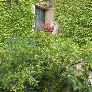 Italia. Calabria. Gerace storia di pietre (1)