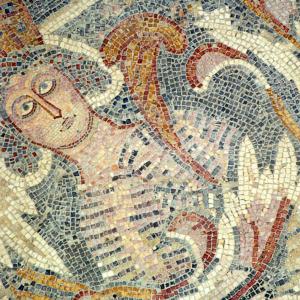 Giordania. Deserto e pietre