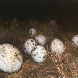 Young at Art. I Stay Here