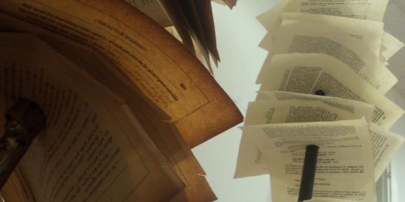 Installazione di Virgilio Patarini al Grand Palais a Parigi  