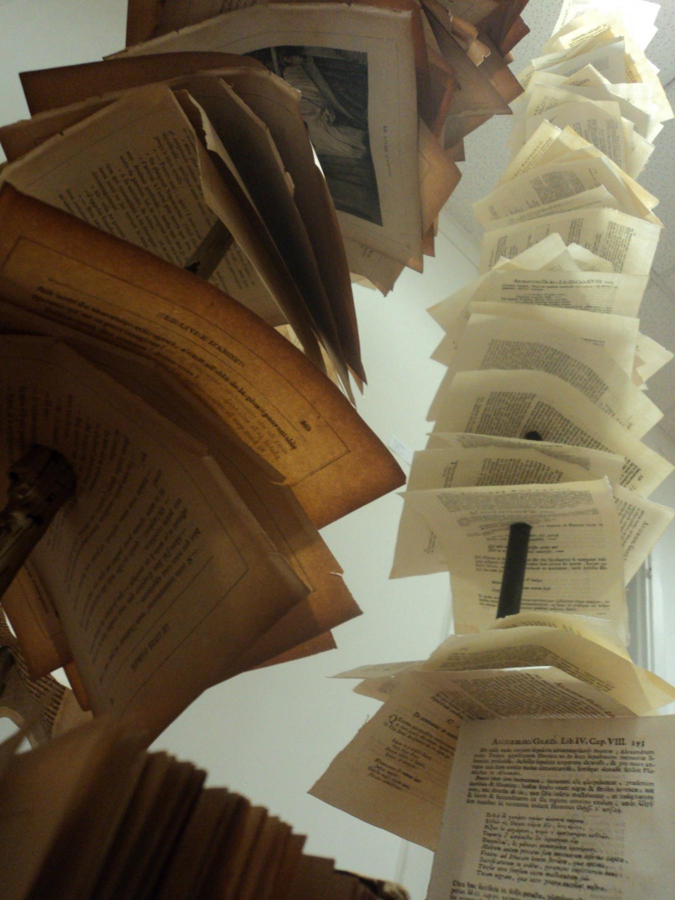 Installazione di Virgilio Patarini al Grand Palais a Parigi  