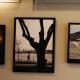 ANAFOD (Istanbul Anatolian Side Photographic Arts Society) Photo Exhibition