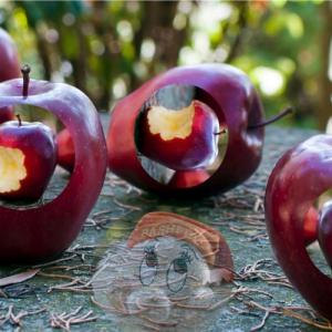 Ma...Donne alla galleria Metamorfosi