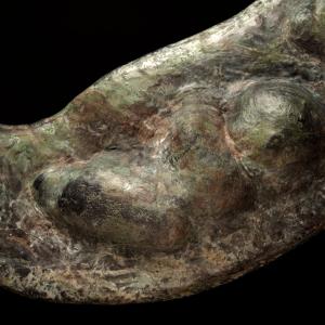 Inside/Rinascite di Erjon Nazeraj Inside/Rinascite di Erjon Nazeraj