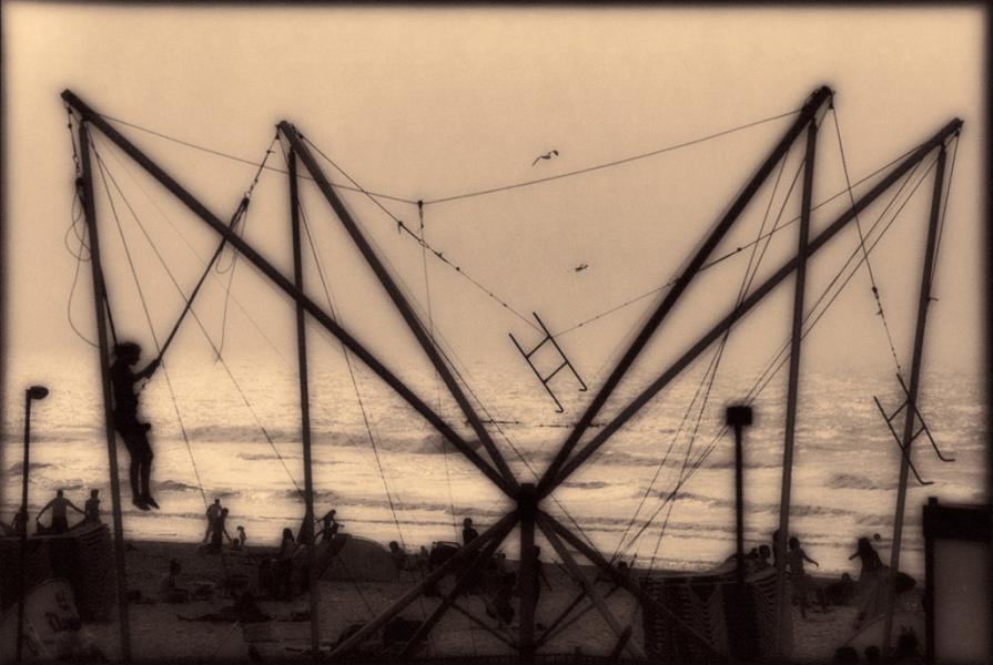 Il ragno - The spider