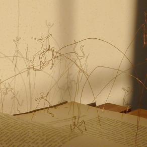 delle anime semplici