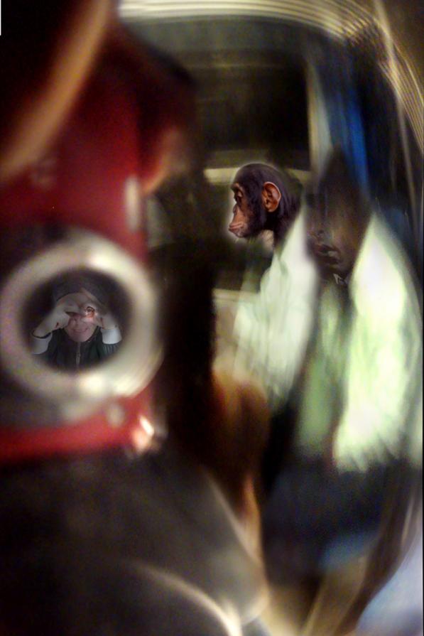 incontri fugaci sulla linea ferroviaria Brescia Parma,( due  ir-regolari)