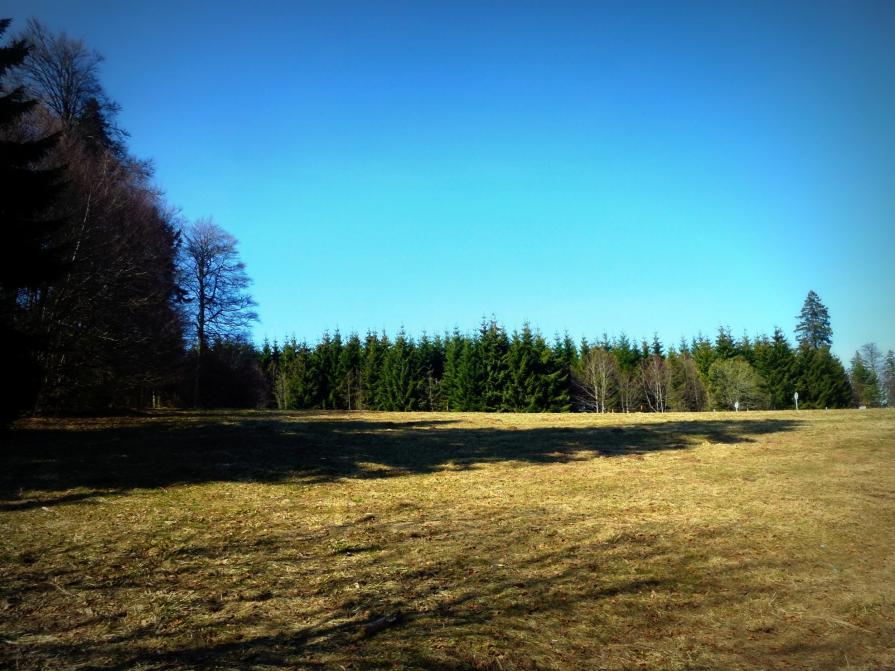 Face à l'immensité