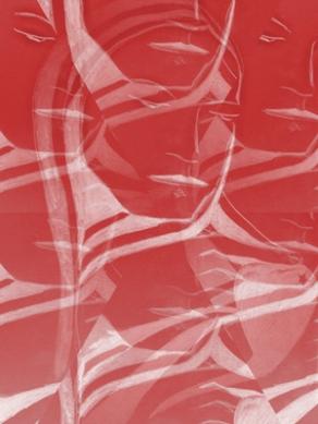 l'isola che non c'è