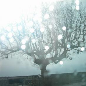 ogni attimo di luce un ramo di pace