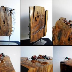 “La casa della formica rufa”