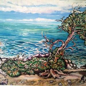 ALBERI , SOLO ALBERI , AMATI ALBERI .