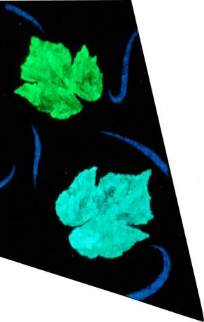 Serata settembrina (opera al buio)