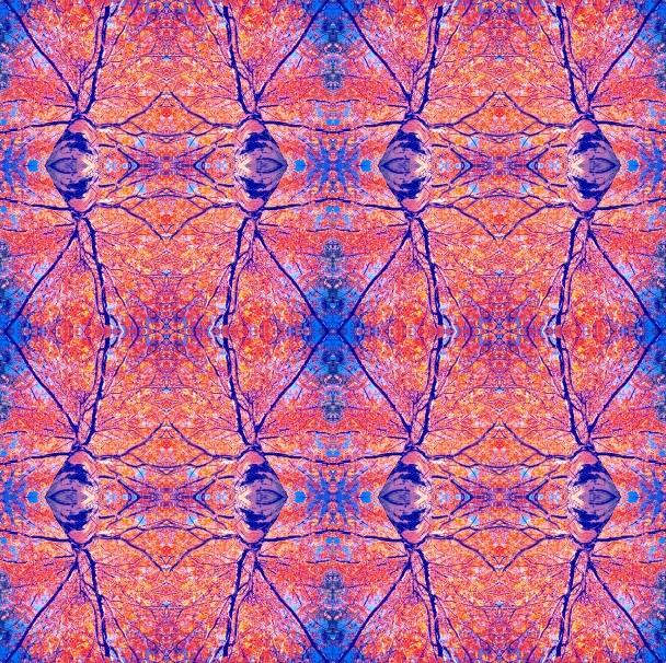 SOGNO TRA GLI ALBERI