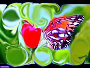 la libertà dell'anima