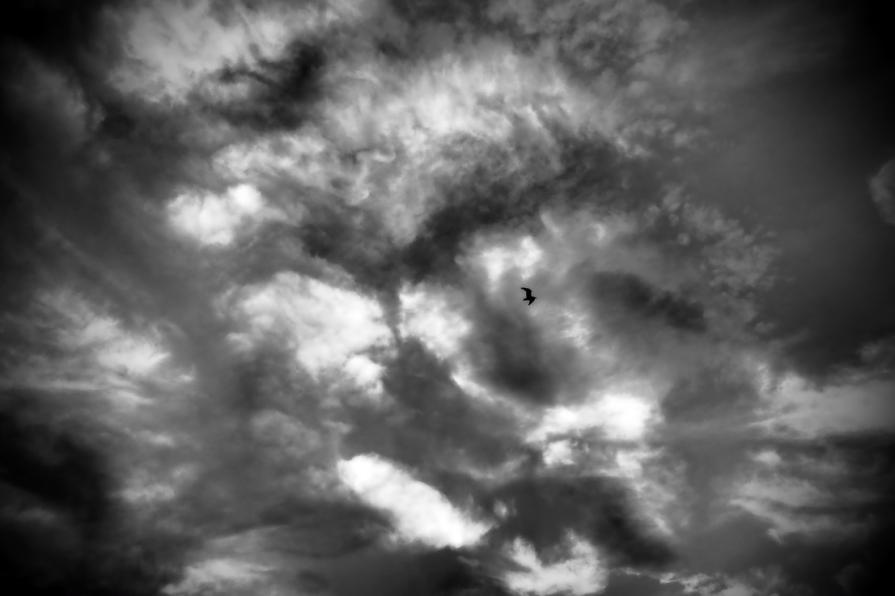 Lo specchio della mia anima