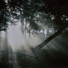 La bellezza del mattino