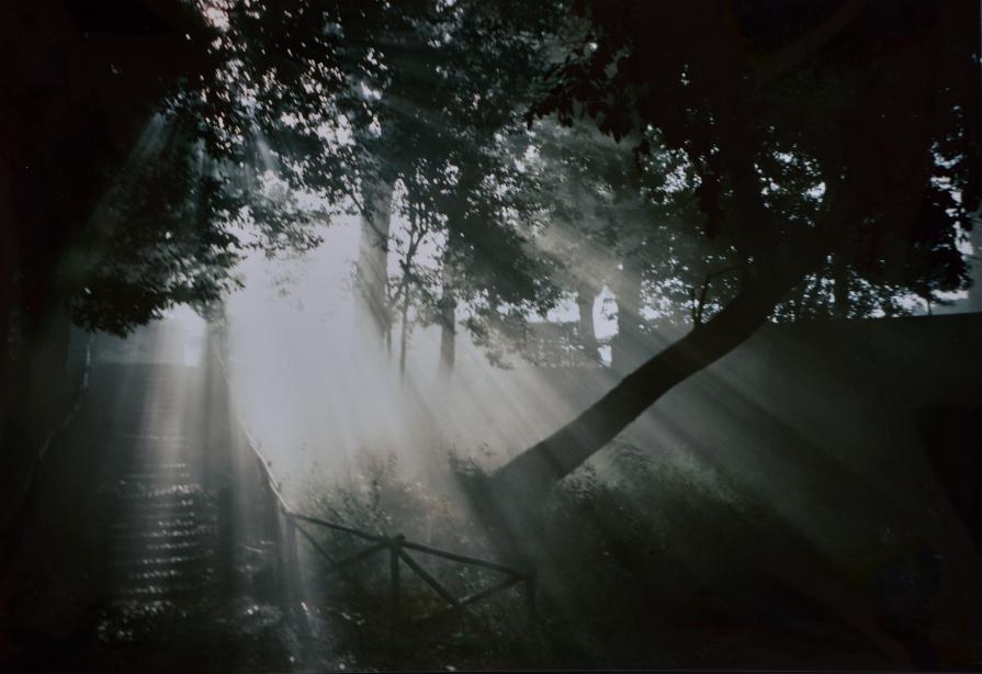 La bellezza del mattino