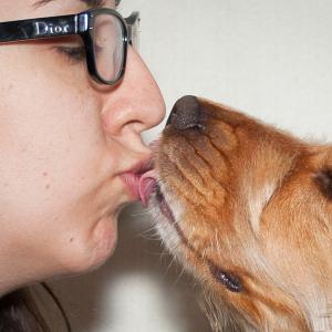 Domestic Animals: The Kiss