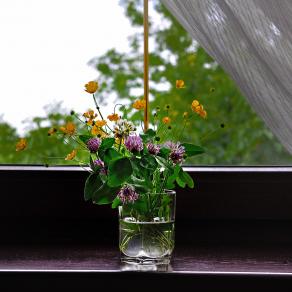 Flowers to Vika Flowers to Vika