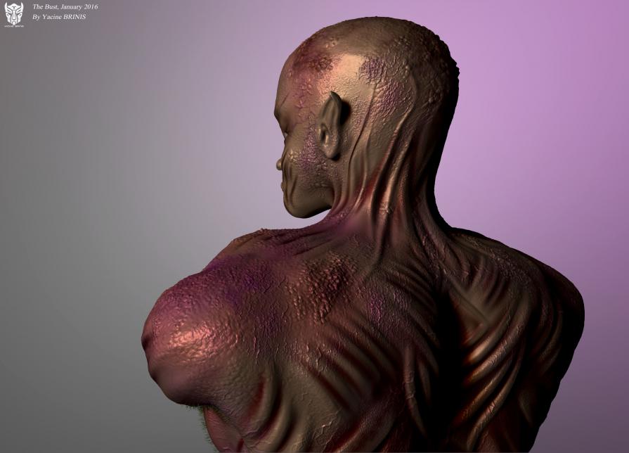 The Bust By Yacine BRINIS 2016 View 08