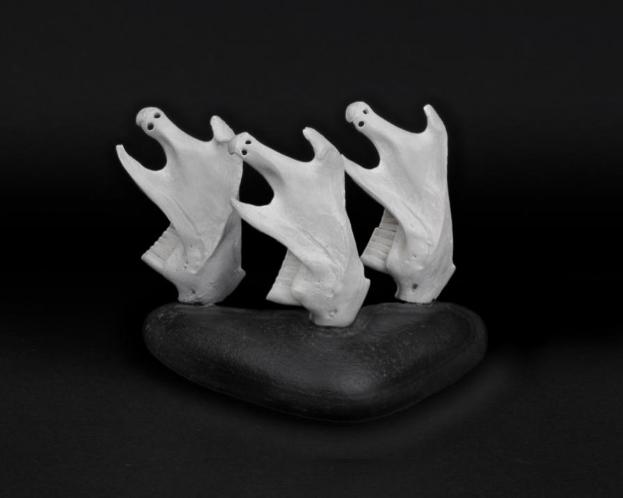 Ghost Dancers Ghost Dancers