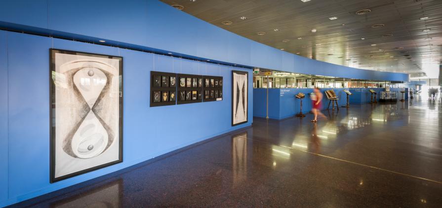 Letizia Ardillo - Pieni e vuoti-Biblioteca Nazionale Centrale- Roma