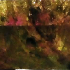 Sevizie nella foresta