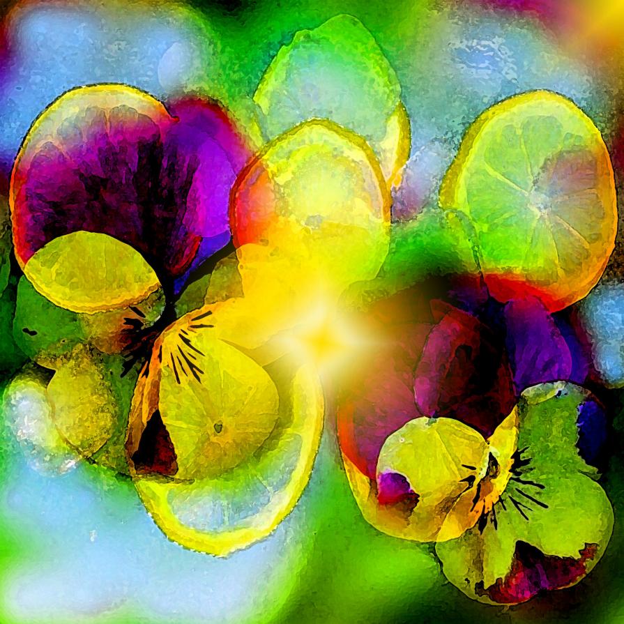 Oggi la luce è una buccia di limone sul vetro dell’aria...!!!