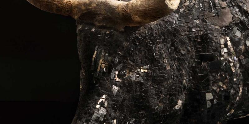 Metamorfosi Metamorfosi