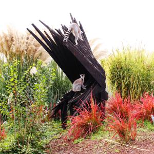 ZOOMaginario: un contest "bestiale"