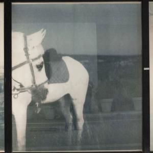 FESTIVAL DELLE ARTI II EDIZIONE  “Un mix di emozioni”  Annalisa Gonnella Solo exhibition