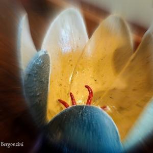 FIORI IN VILLA al CLUB MERIDIANA DI MODENA