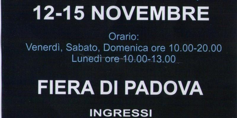www.artepadova.org www.artepadova.org