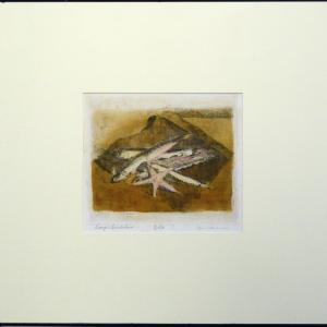 L'IMPRONTA E IL SEGNO A PALAZZO DUCALE DI REVERE (MN)