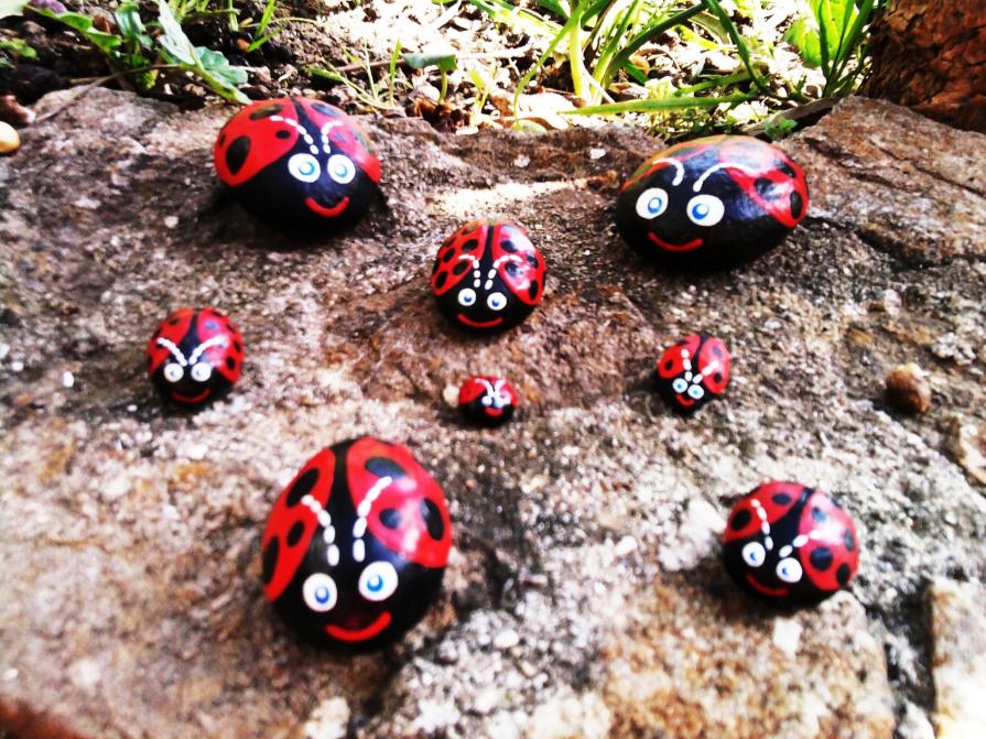 " Una Simpatica Famiglia di Coccinelle ".