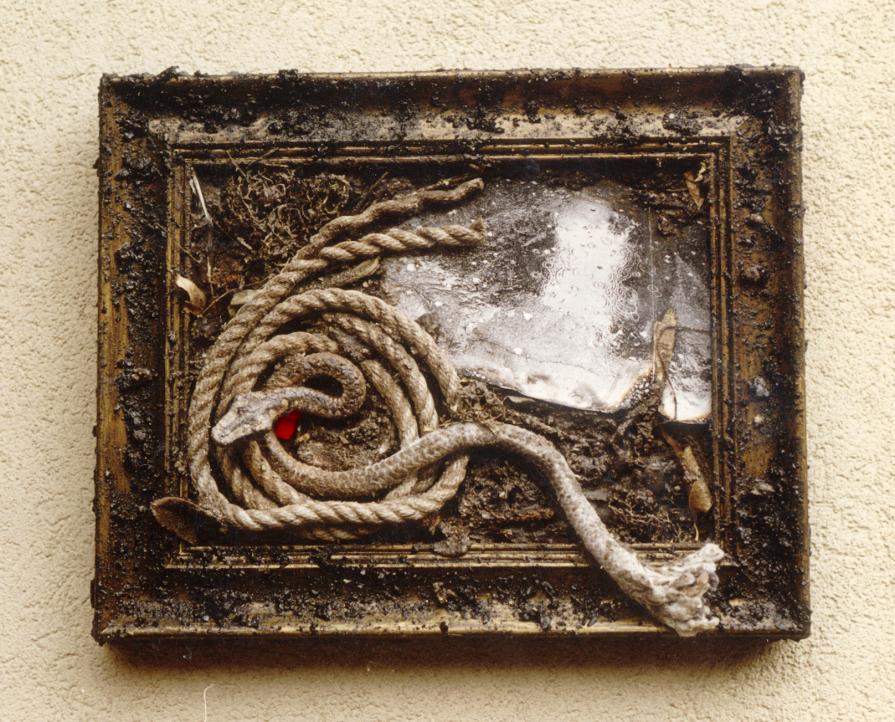 nel calore della decomposizione marte genera la visione del serpente