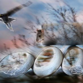 attentoooooooooooooooooooooooooo