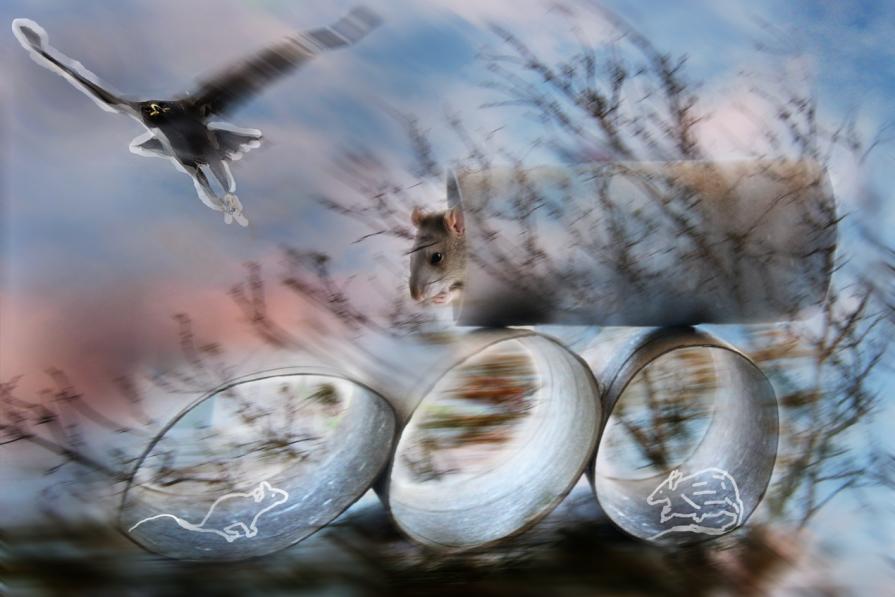 attentoooooooooooooooooooooooooo