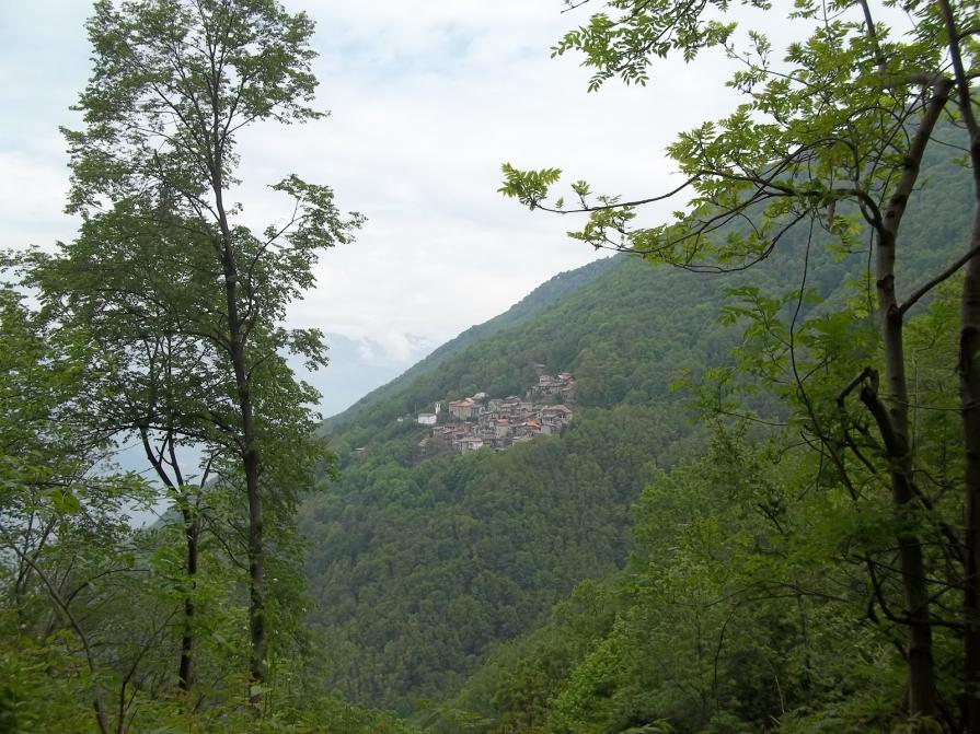 cornice in cornice di un nido