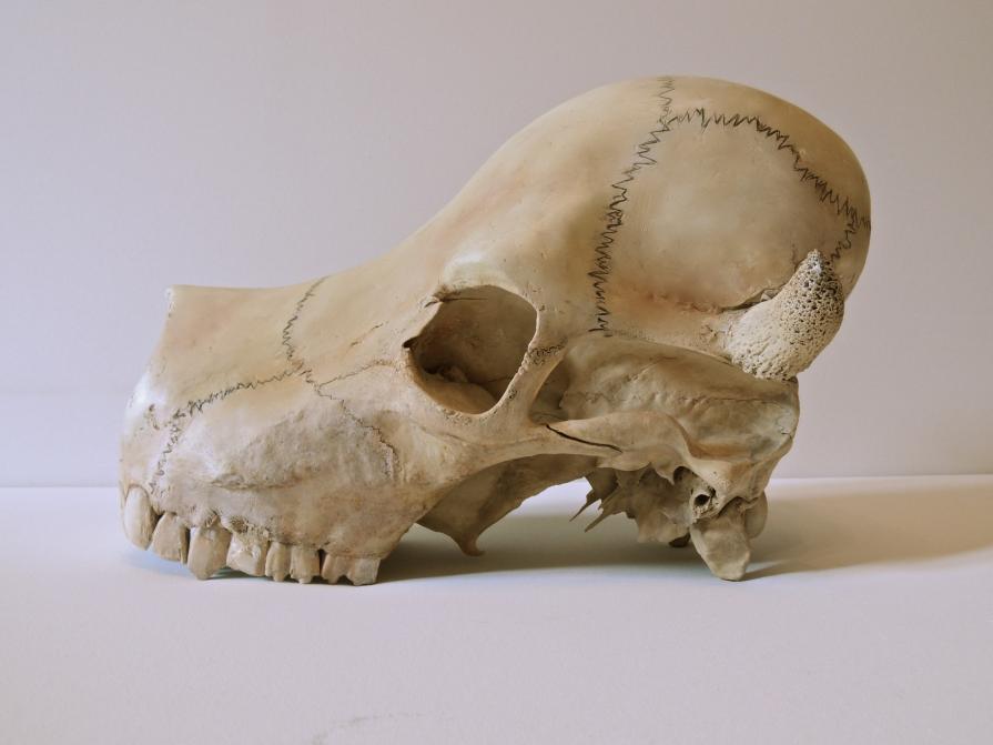 EXTRA UOMO EXTRA UOMO