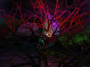 Claudia Caracausi - Natura sovrapposta